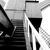 _DSC1695_klein