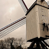_DSC1708_klein