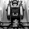 _DSC1771_klein