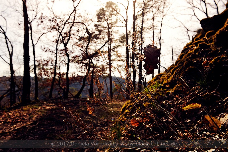 Wanderweg Seitensprung