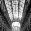 _DSC6930_klein