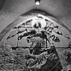 _DSC1099_klein