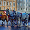 _DSC4104_klein