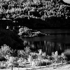 _DSC0792_klein