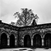 _DSC0981_klein