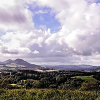 _DSC4048_klein