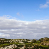 _DSC4066_klein