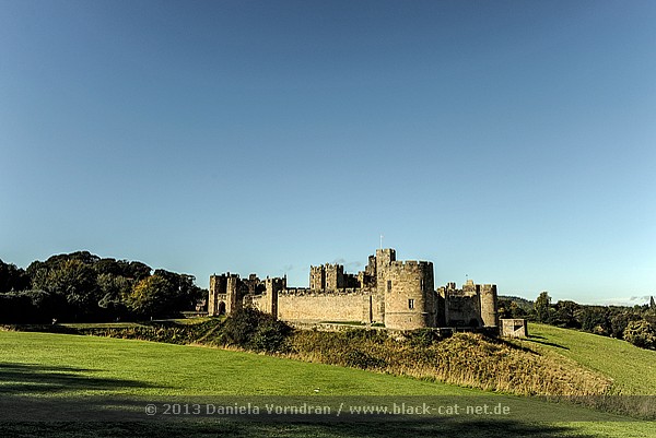Alnwick castle coupons