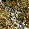 _DSC5180_klein