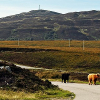_DSC5814_klein