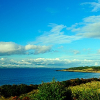 _DSC6911_klein
