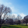 _DSC8718_klein