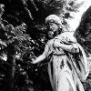 _DSC5452_klein