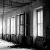 _DSC5598_klein