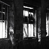 _DSC5611_klein