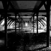_DSC5645_klein