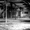 _DSC5649_klein